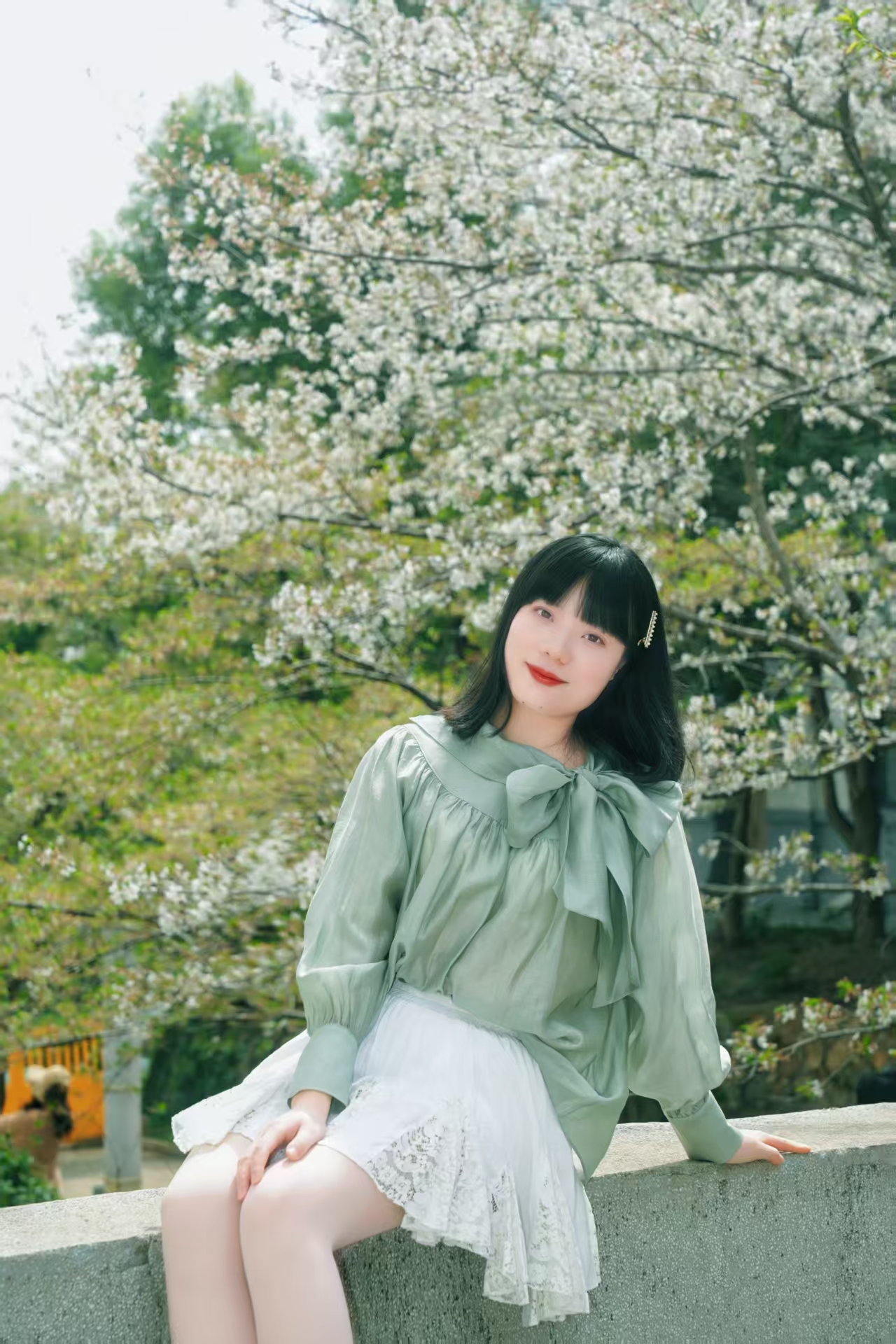 杨博士